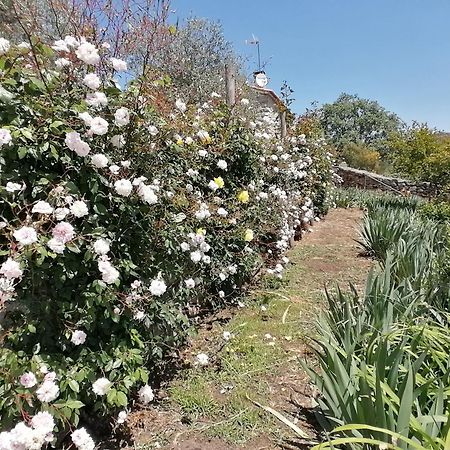 Lirios Da Granja - Casa De Campo エクステリア 写真