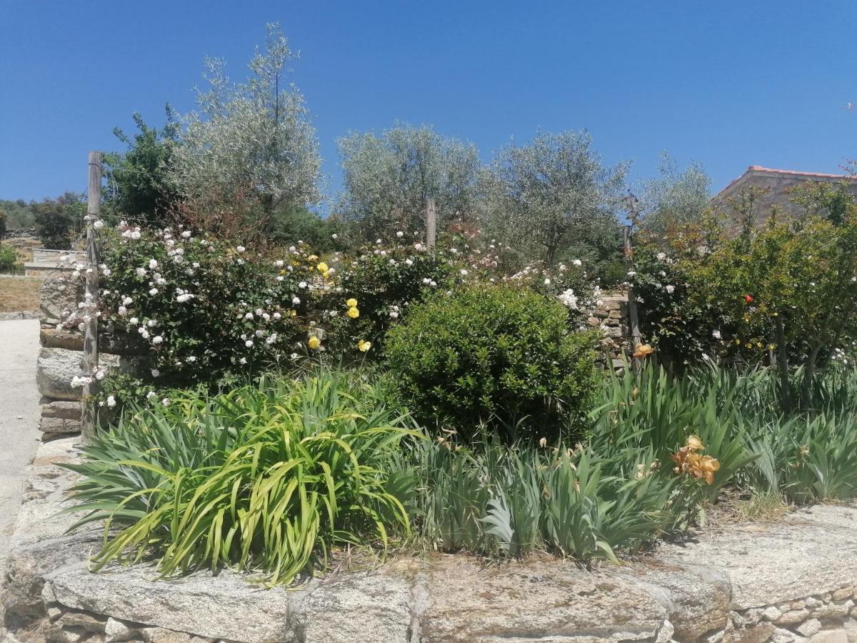 Lirios Da Granja - Casa De Campo エクステリア 写真